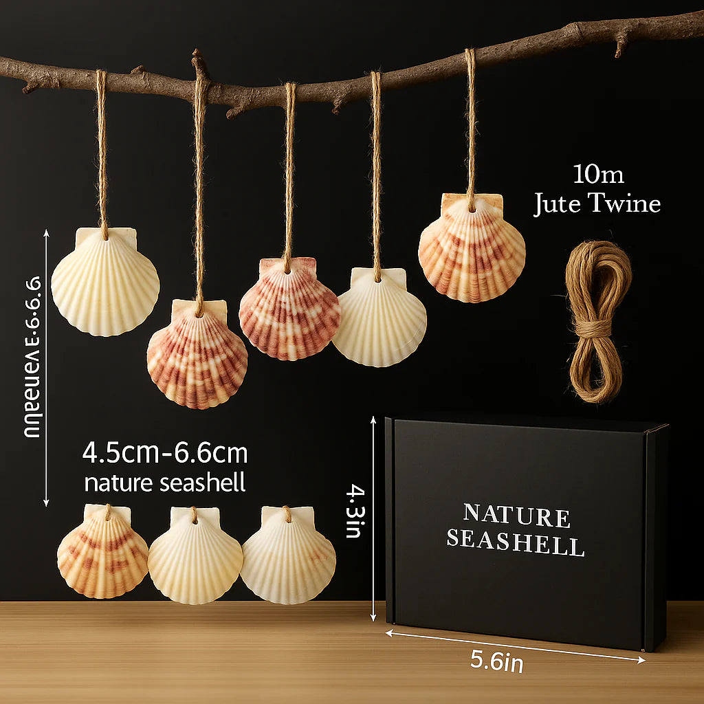 30-Piece Natural Sea Shell Wall Hanging