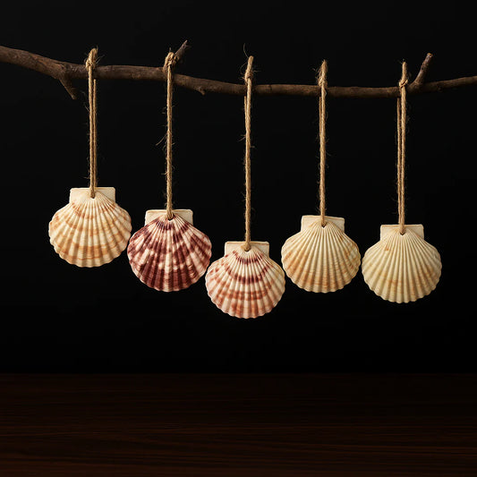 30-Piece Natural Sea Shell Wall Hanging